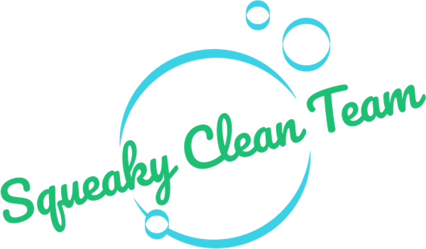 Squeaky Clean Team